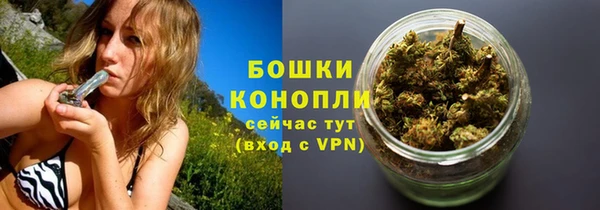 МДПВ Ельня